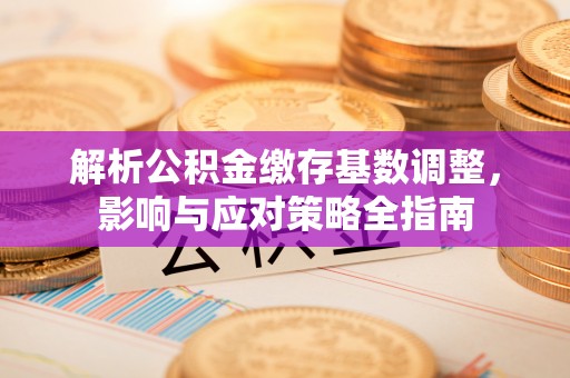 廉江解析公积金缴存基数调整，影响与应对策略全指南