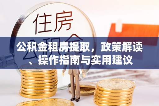 廉江公积金租房提取，政策解读、操作指南与实用建议