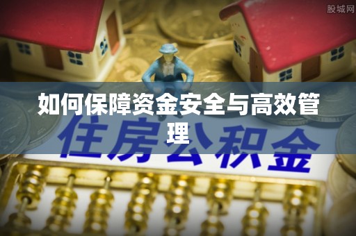 廉江如何保障资金安全与高效管理