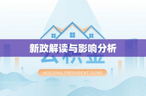 廉江新政解读与影响分析