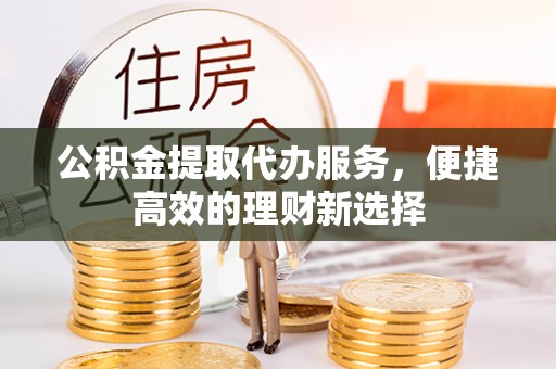 廉江公积金提取代办服务，便捷高效的理财新选择