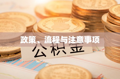 廉江政策、流程与注意事项