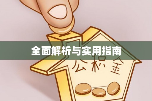 廉江全面解析与实用指南