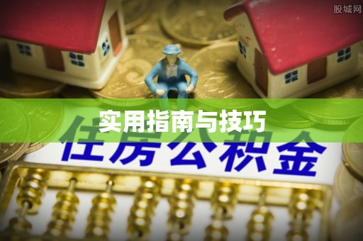 廉江实用指南与技巧