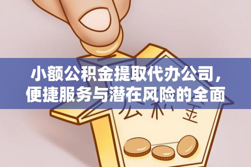 廉江小额公积金提取代办公司，便捷服务与潜在风险的全面解析