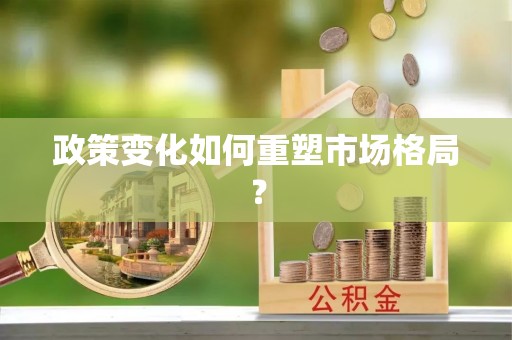廉江政策变化如何重塑市场格局？