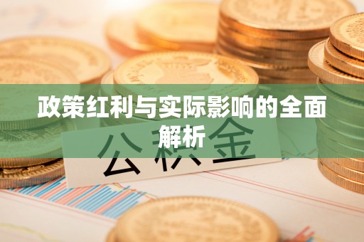 廉江政策红利与实际影响的全面解析