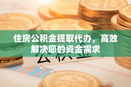 廉江住房公积金提取代办，高效解决您的资金需求