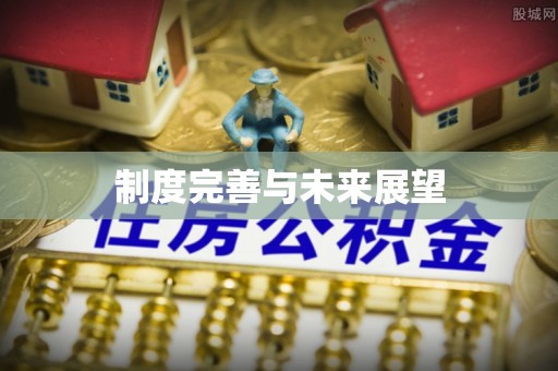 廉江制度完善与未来展望