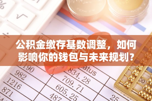 廉江公积金缴存基数调整，如何影响你的钱包与未来规划？