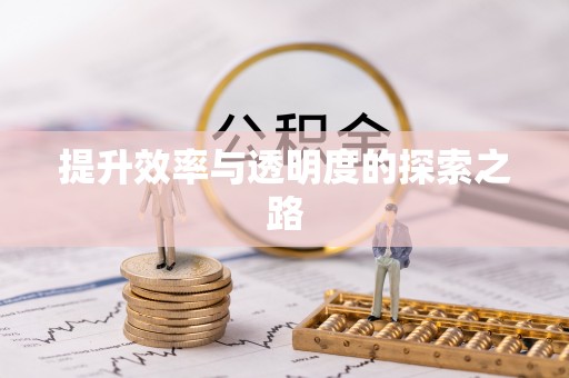 廉江提升效率与透明度的探索之路