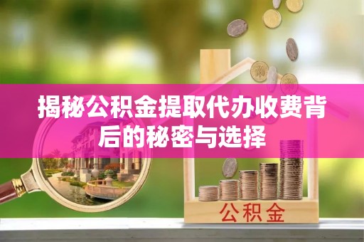 廉江揭秘公积金提取代办收费背后的秘密与选择