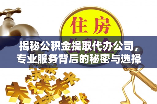 廉江揭秘公积金提取代办公司，专业服务背后的秘密与选择指南