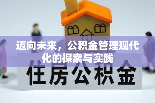 廉江迈向未来，公积金管理现代化的探索与实践