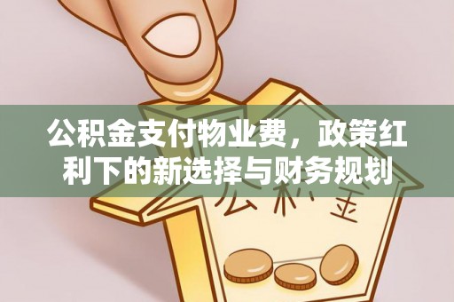廉江公积金支付物业费，政策红利下的新选择与财务规划