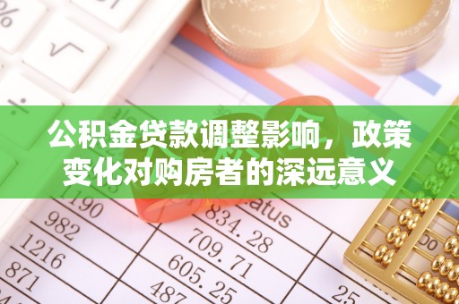廉江公积金贷款调整影响，政策变化对购房者的深远意义