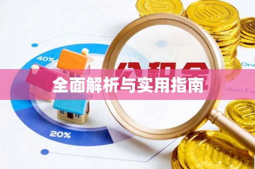 廉江全面解析与实用指南