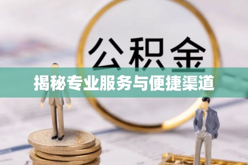 廉江揭秘专业服务与便捷渠道
