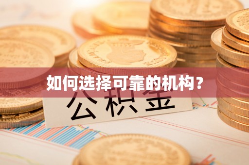 廉江如何选择可靠的机构？