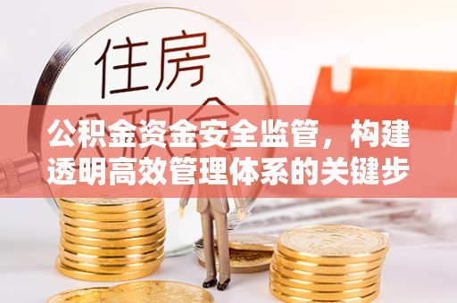 廉江公积金资金安全监管，构建透明高效管理体系的关键步骤