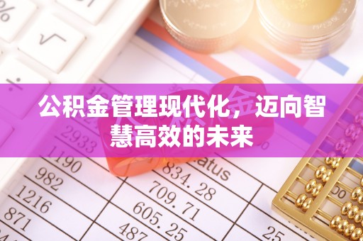 廉江公积金管理现代化，迈向智慧高效的未来