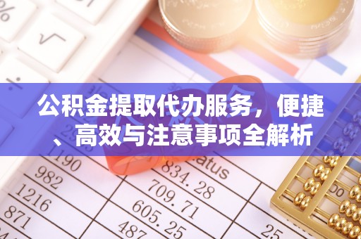 廉江公积金提取代办服务，便捷、高效与注意事项全解析