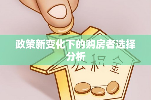 廉江政策新变化下的购房者选择分析