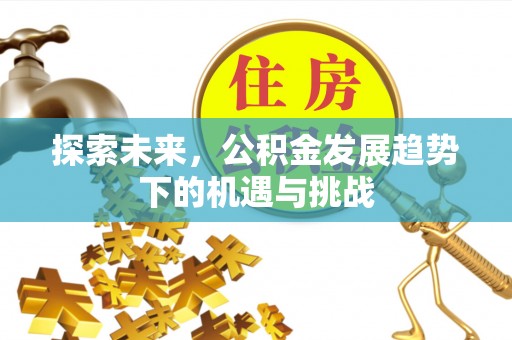 廉江探索未来，公积金发展趋势下的机遇与挑战