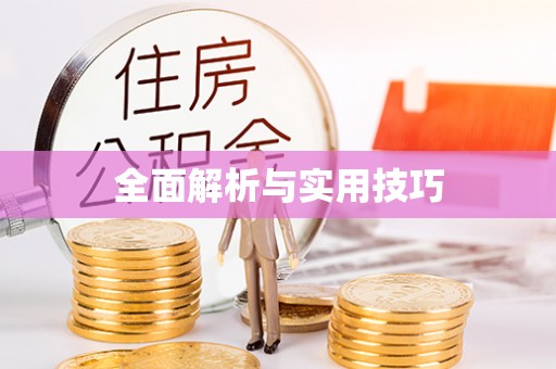 廉江全面解析与实用技巧