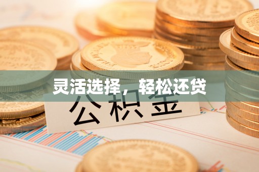 廉江灵活选择，轻松还贷