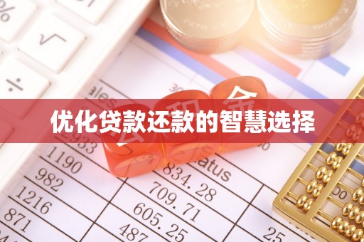 廉江优化贷款还款的智慧选择