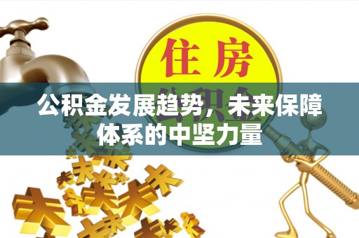 廉江公积金发展趋势，未来保障体系的中坚力量