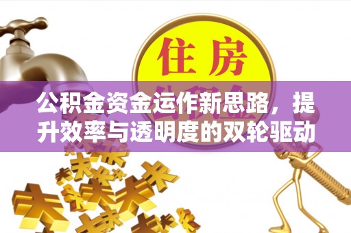 廉江公积金资金运作新思路，提升效率与透明度的双轮驱动
