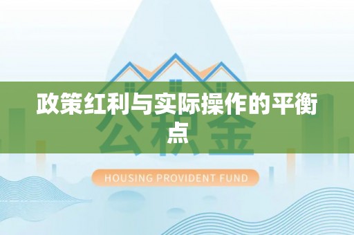 廉江政策红利与实际操作的平衡点