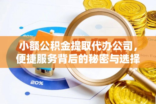 廉江小额公积金提取代办公司，便捷服务背后的秘密与选择指南