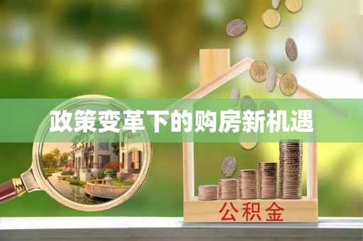 廉江政策变革下的购房新机遇