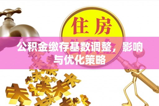 廉江公积金缴存基数调整，影响与优化策略