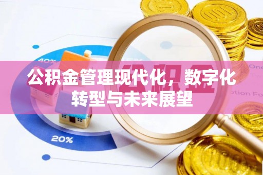 廉江公积金管理现代化，数字化转型与未来展望