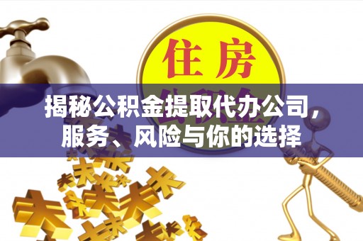 廉江揭秘公积金提取代办公司，服务、风险与你的选择