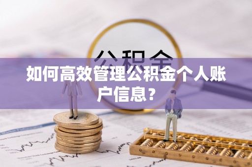 廉江如何高效管理公积金个人账户信息？