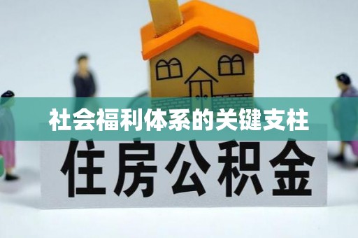 廉江社会福利体系的关键支柱