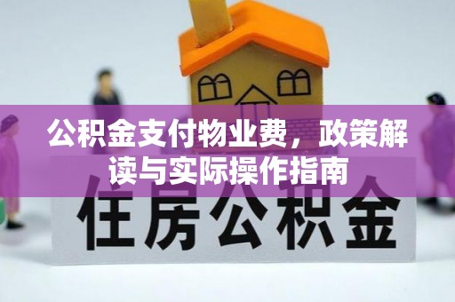 廉江公积金支付物业费，政策解读与实际操作指南