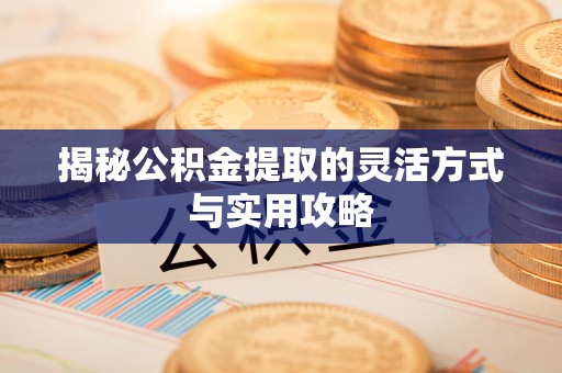 廉江揭秘公积金提取的灵活方式与实用攻略