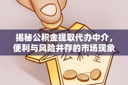 廉江揭秘公积金提取代办中介，便利与风险并存的市场现象