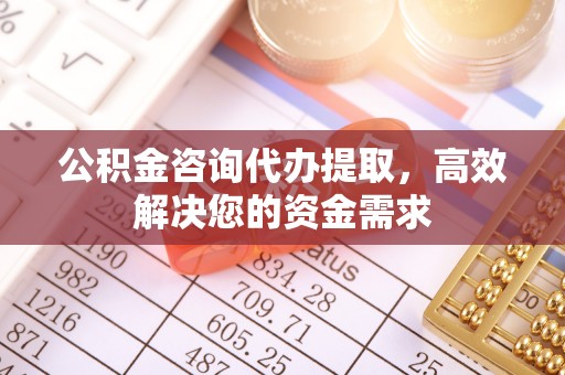 廉江公积金咨询代办提取，高效解决您的资金需求