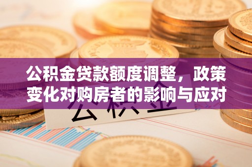 廉江公积金贷款额度调整，政策变化对购房者的影响与应对策略