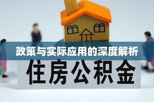 廉江政策与实际应用的深度解析