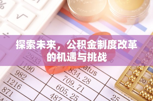 廉江探索未来，公积金制度改革的机遇与挑战
