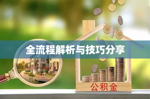 廉江全流程解析与技巧分享