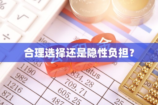廉江合理选择还是隐性负担？